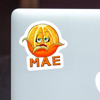 Sticker Mae Orange Gift package Image