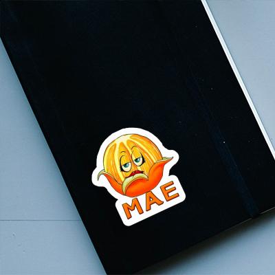 Sticker Mae Orange Laptop Image