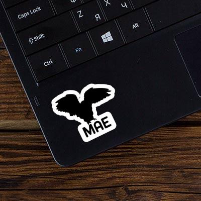 Owl Sticker Mae Laptop Image