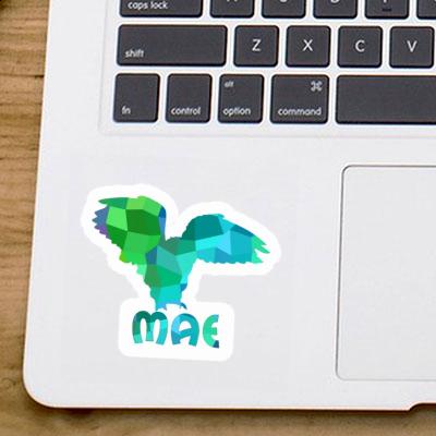 Owl Sticker Mae Image