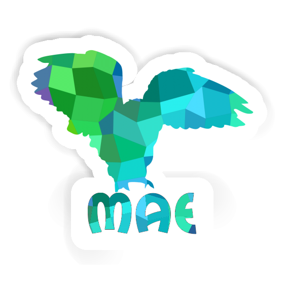 Owl Sticker Mae Laptop Image