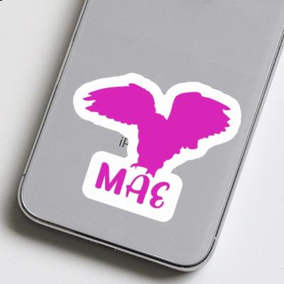 Mae Sticker Owl Notebook Image