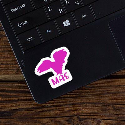 Eule Sticker Mae Laptop Image