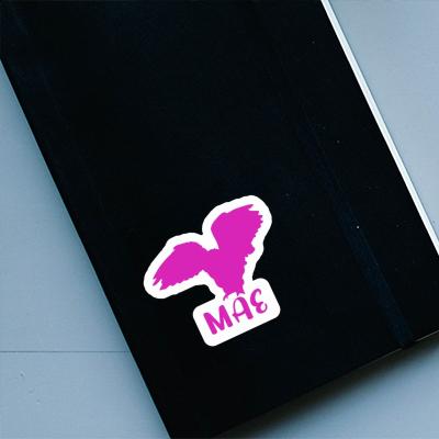 Mae Sticker Owl Laptop Image