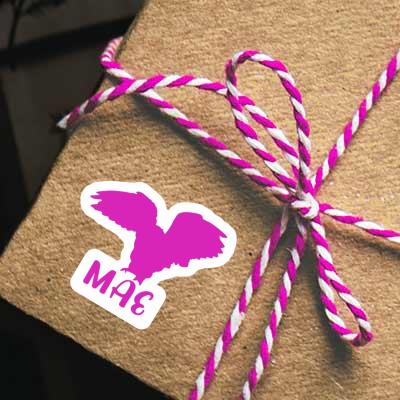 Mae Sticker Owl Gift package Image