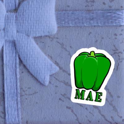 Aufkleber Mae Paprika Gift package Image