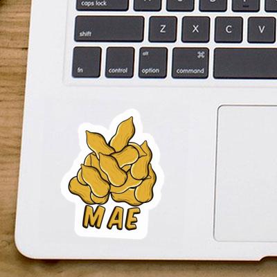 Sticker Nut Mae Image