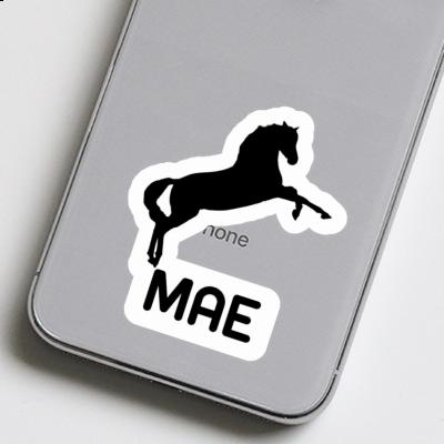 Sticker Mae Horse Notebook Image