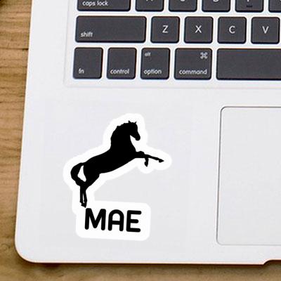 Sticker Mae Horse Gift package Image