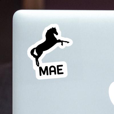 Sticker Mae Horse Image