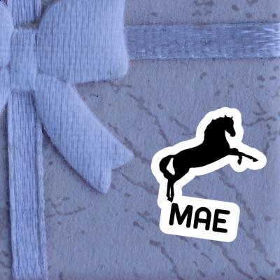 Sticker Mae Horse Notebook Image