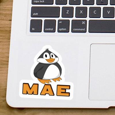 Sticker Mae Penguin Gift package Image