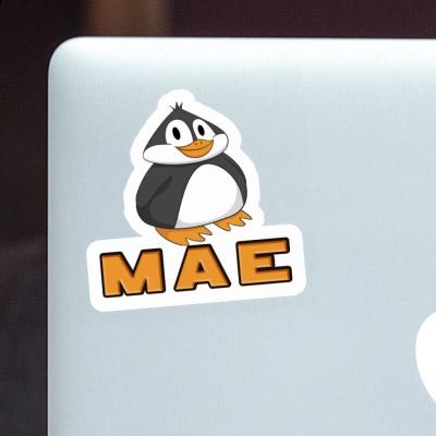 Sticker Mae Penguin Laptop Image