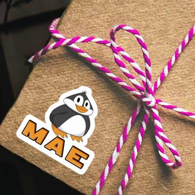 Sticker Mae Penguin Gift package Image