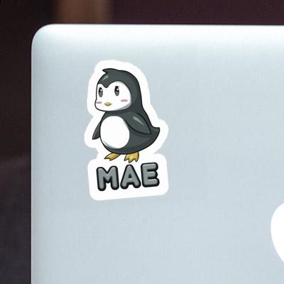 Mae Sticker Penguin Gift package Image