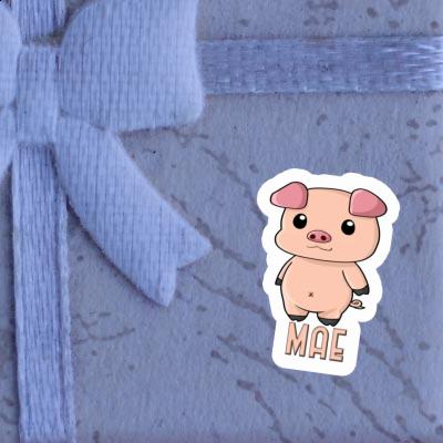 Mae Sticker Pigg Gift package Image