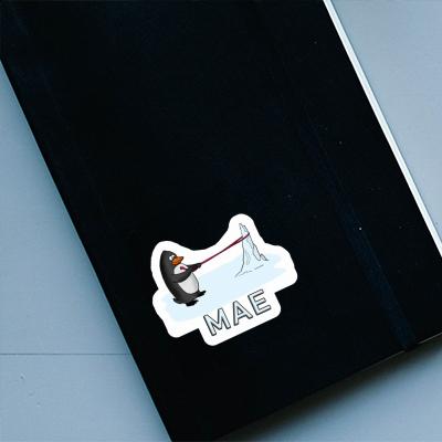 Sticker Penguin Mae Laptop Image