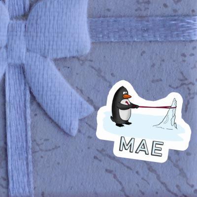 Sticker Penguin Mae Notebook Image