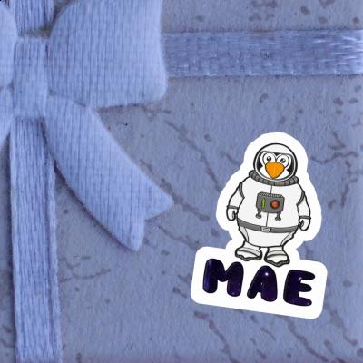 Mae Sticker Astronaut Gift package Image