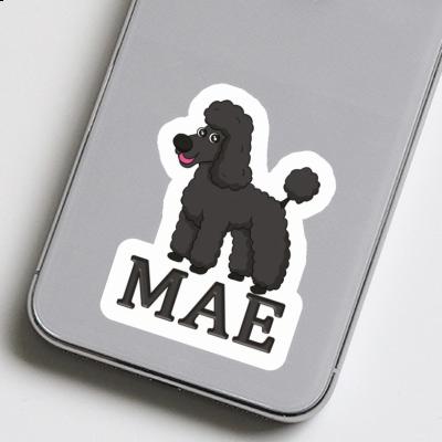 Mae Sticker Poodle Gift package Image