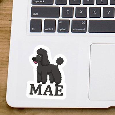 Mae Sticker Poodle Laptop Image