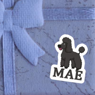 Mae Sticker Poodle Gift package Image