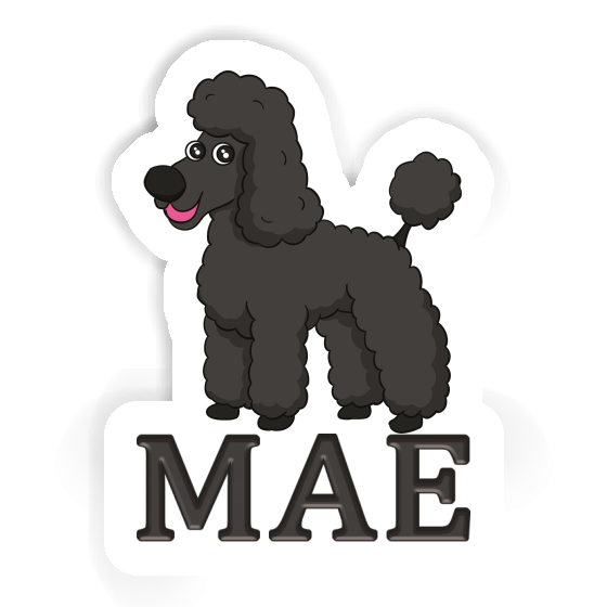 Mae Sticker Poodle Laptop Image