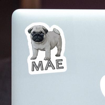 Sticker Mae Pug Notebook Image