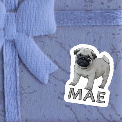 Sticker Mae Pug Image