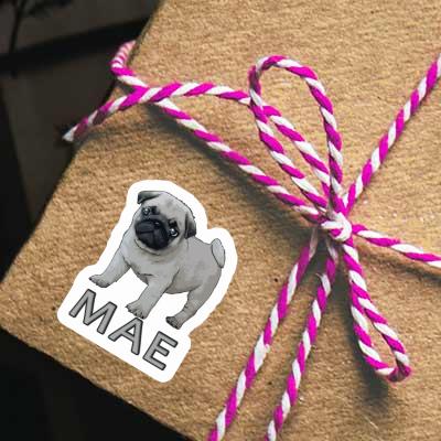 Sticker Mae Pug Image