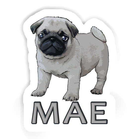 Sticker Mae Pug Laptop Image