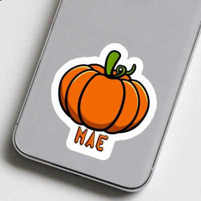 Mae Sticker Pumpkin Laptop Image