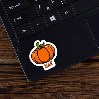 Mae Sticker Pumpkin Notebook Image