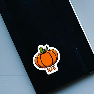 Mae Sticker Pumpkin Notebook Image