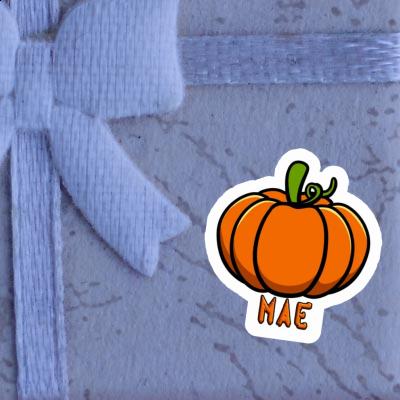 Mae Sticker Pumpkin Notebook Image