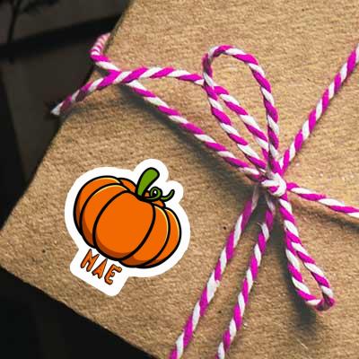 Mae Sticker Pumpkin Notebook Image