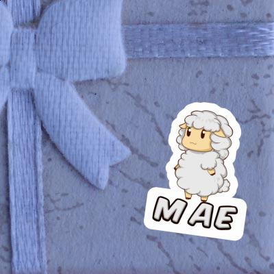 Mae Sticker Sheep Gift package Image