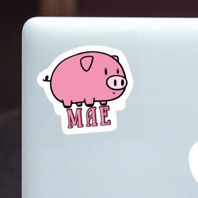 Mae Sticker Pig Laptop Image