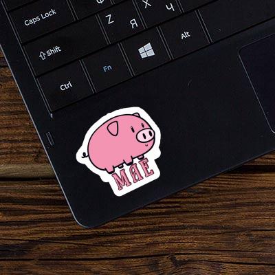 Mae Sticker Pig Laptop Image