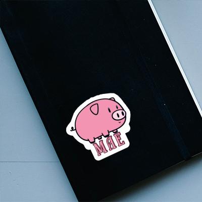 Mae Aufkleber Schwein Laptop Image