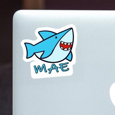 Mae Sticker Shark Gift package Image