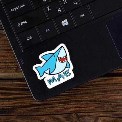 Mae Sticker Shark Image