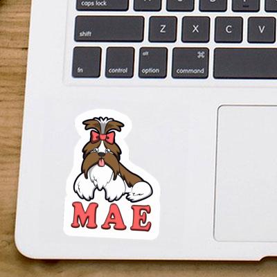 Mae Sticker Shih Tzu Gift package Image