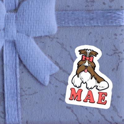 Mae Sticker Shih Tzu Gift package Image