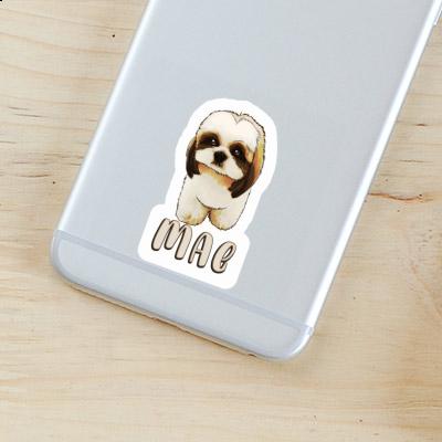 Sticker Mae Shih Tzu Gift package Image