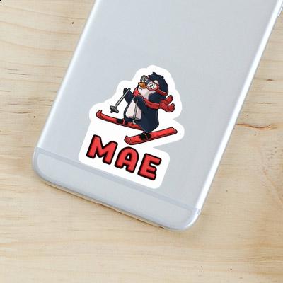 Mae Sticker Skier Gift package Image