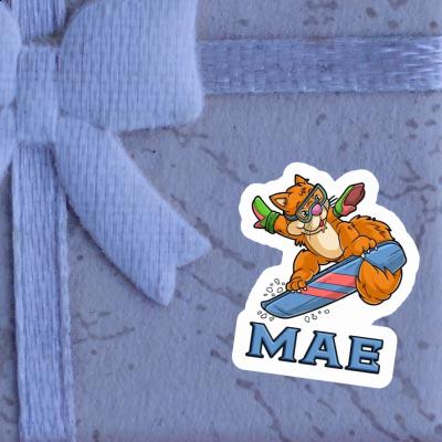 Sticker Boarder Mae Laptop Image