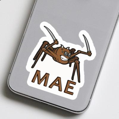 Sticker Fighting Spider Mae Gift package Image