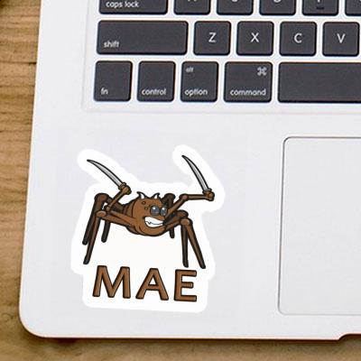 Sticker Fighting Spider Mae Notebook Image