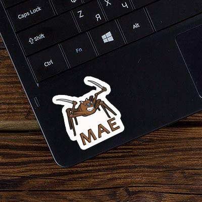 Sticker Fighting Spider Mae Notebook Image